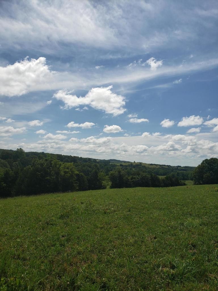 720 Acres, Thornfield, MO 65762 Land and Farm