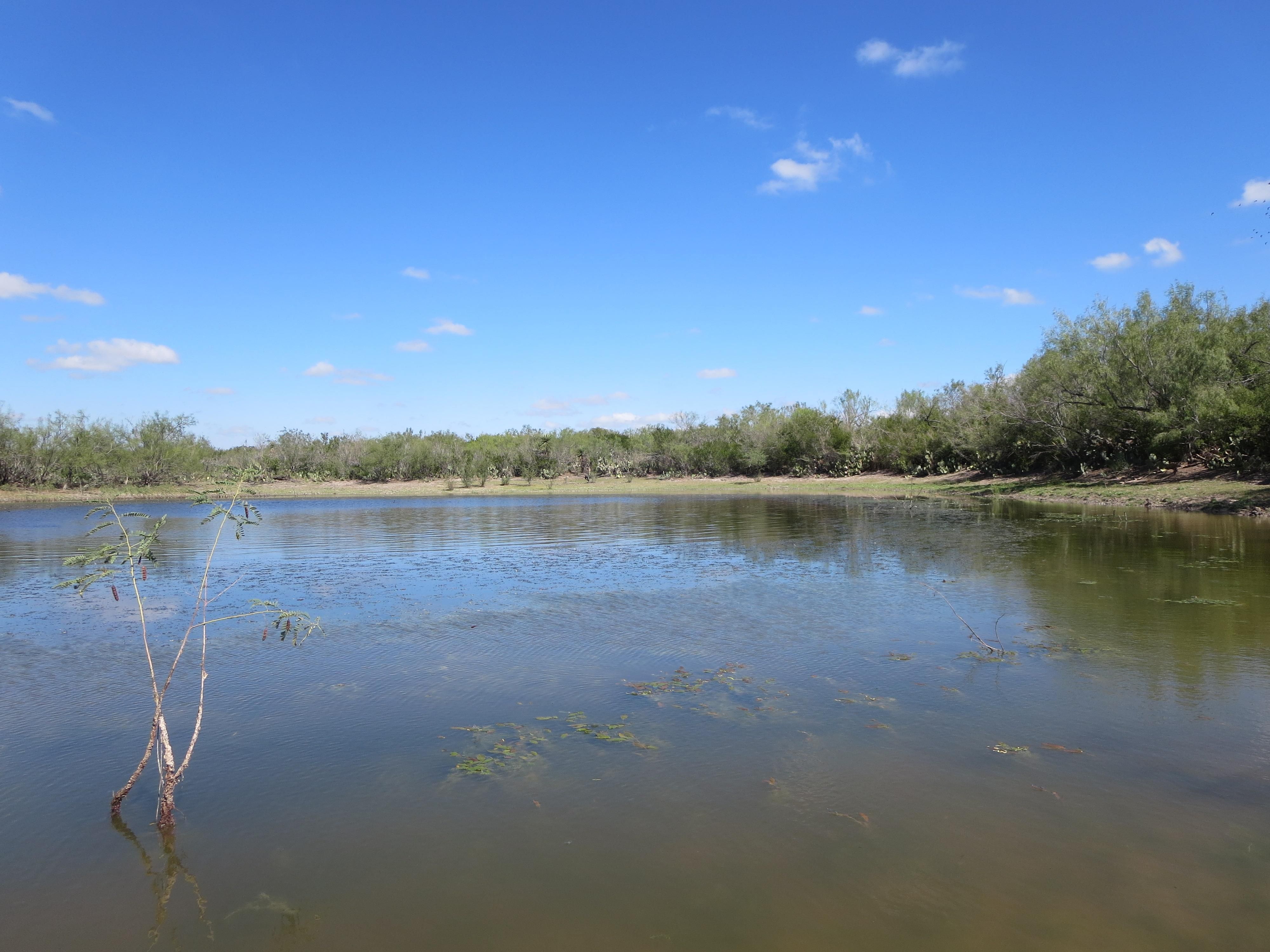 2,498 Acres, San Ygnacio, TX 78067 Land and Farm