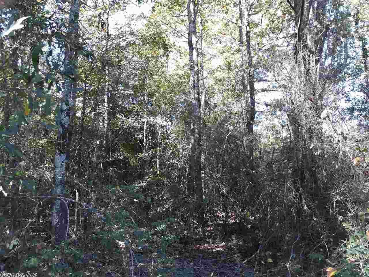 15 Acres, Murfreesboro, AR 71958 Land and Farm