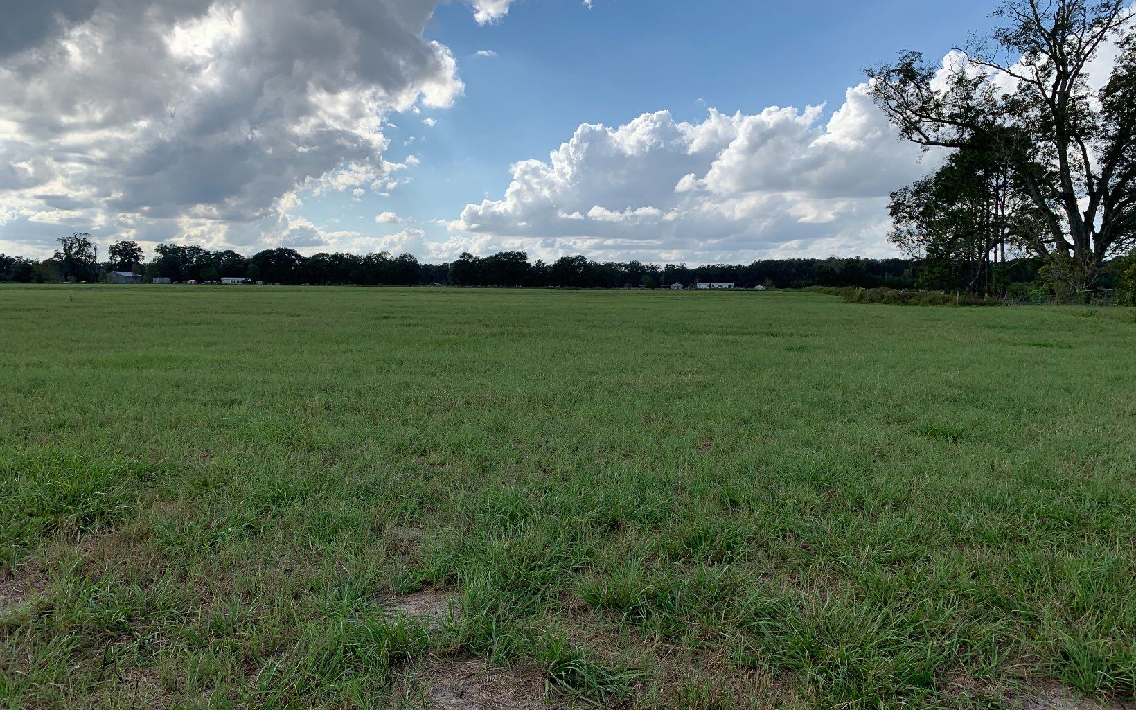 10 Acres, TBD 85TH ROAD, O Brien, FL 32071 Land and Farm