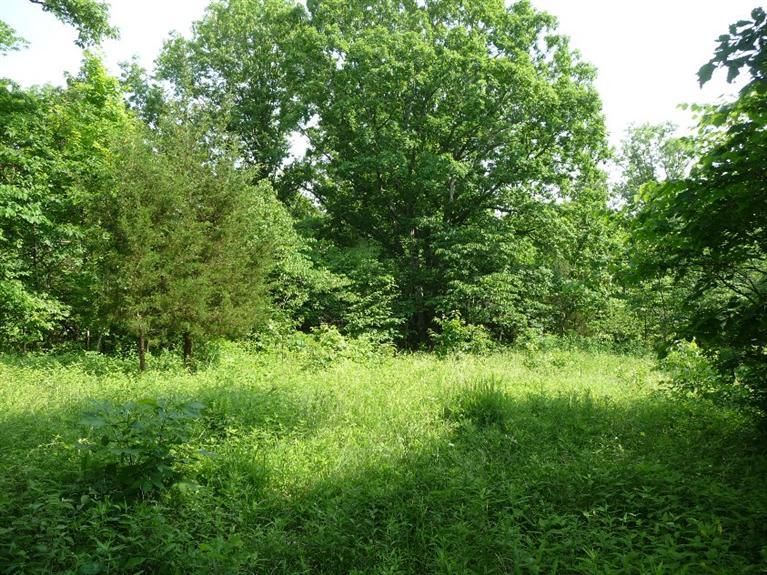 53.56 Acres, 0 Claxton Ridge Road, Owenton, KY 40359 Land and Farm