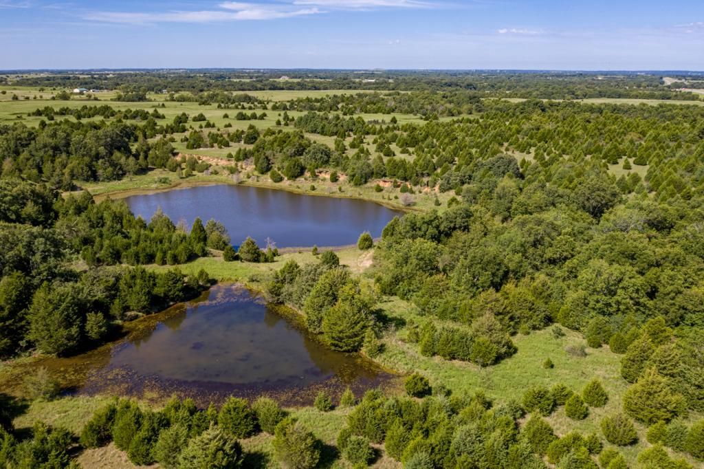 247 Acres, 0000 EW 1130 Rd., Earlsboro, OK 74840 Land and Farm