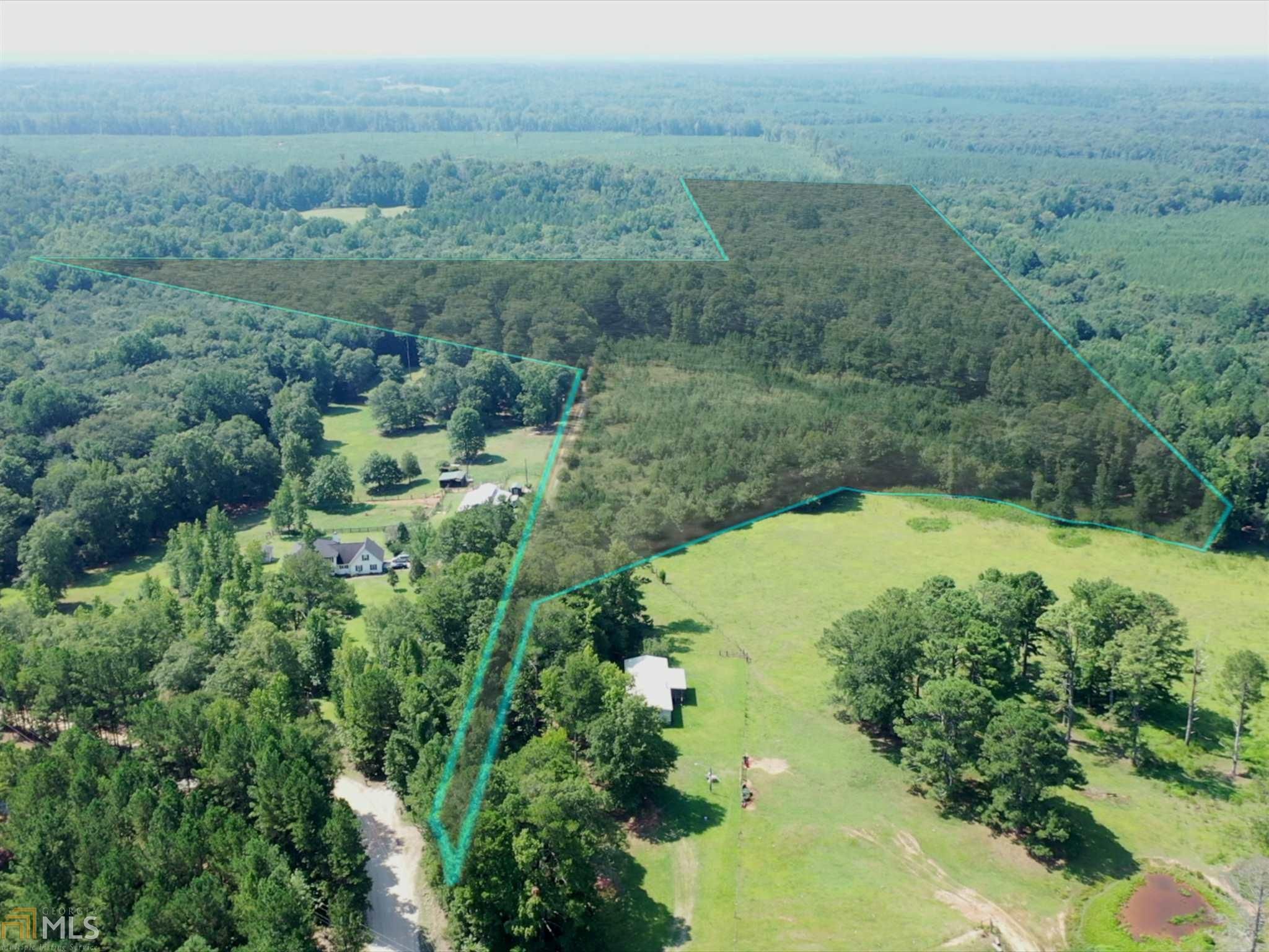 52.31 Acres, 0 Wood Creek Rd, Williamson, GA 30292 Land and Farm