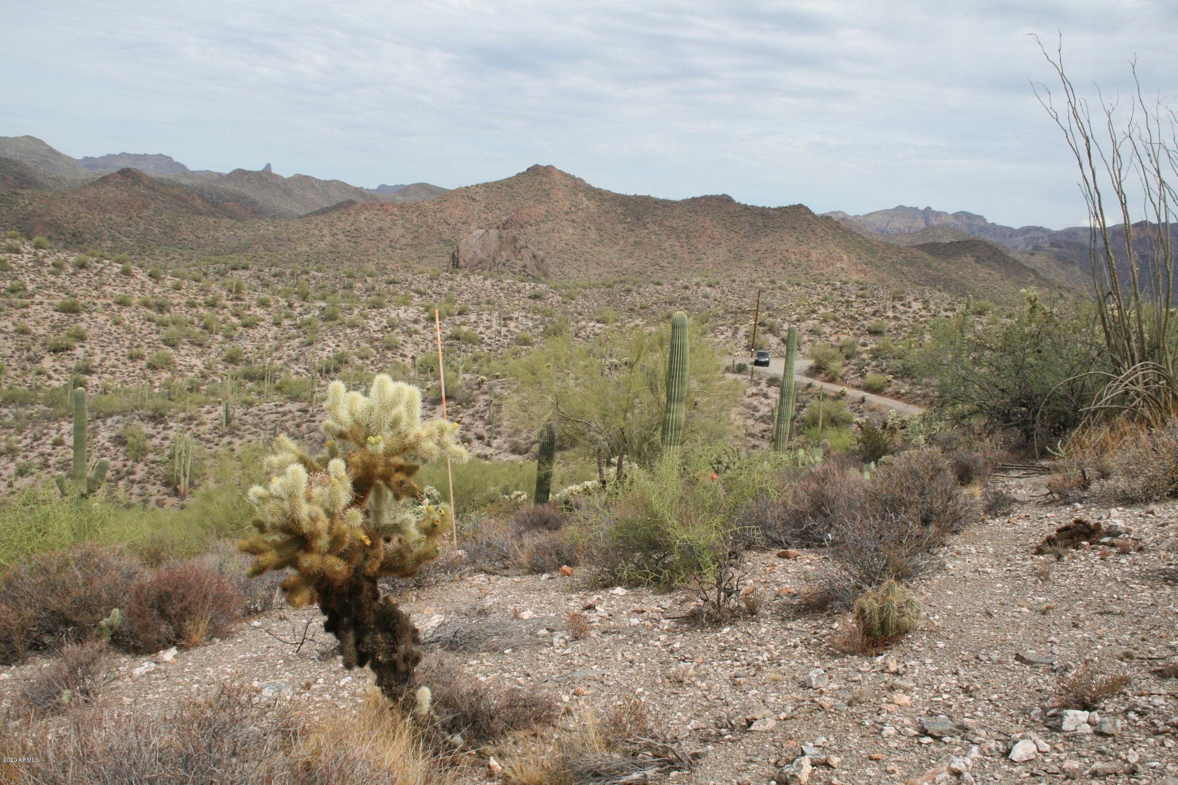 10 Acres, 0 N Elephant Butte Road, Queen Valley, AZ 85118 Land and Farm