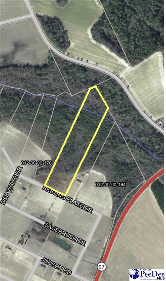 10 Acres, TBD Resting Place Drive, Dillon, SC 29536 Land and Farm
