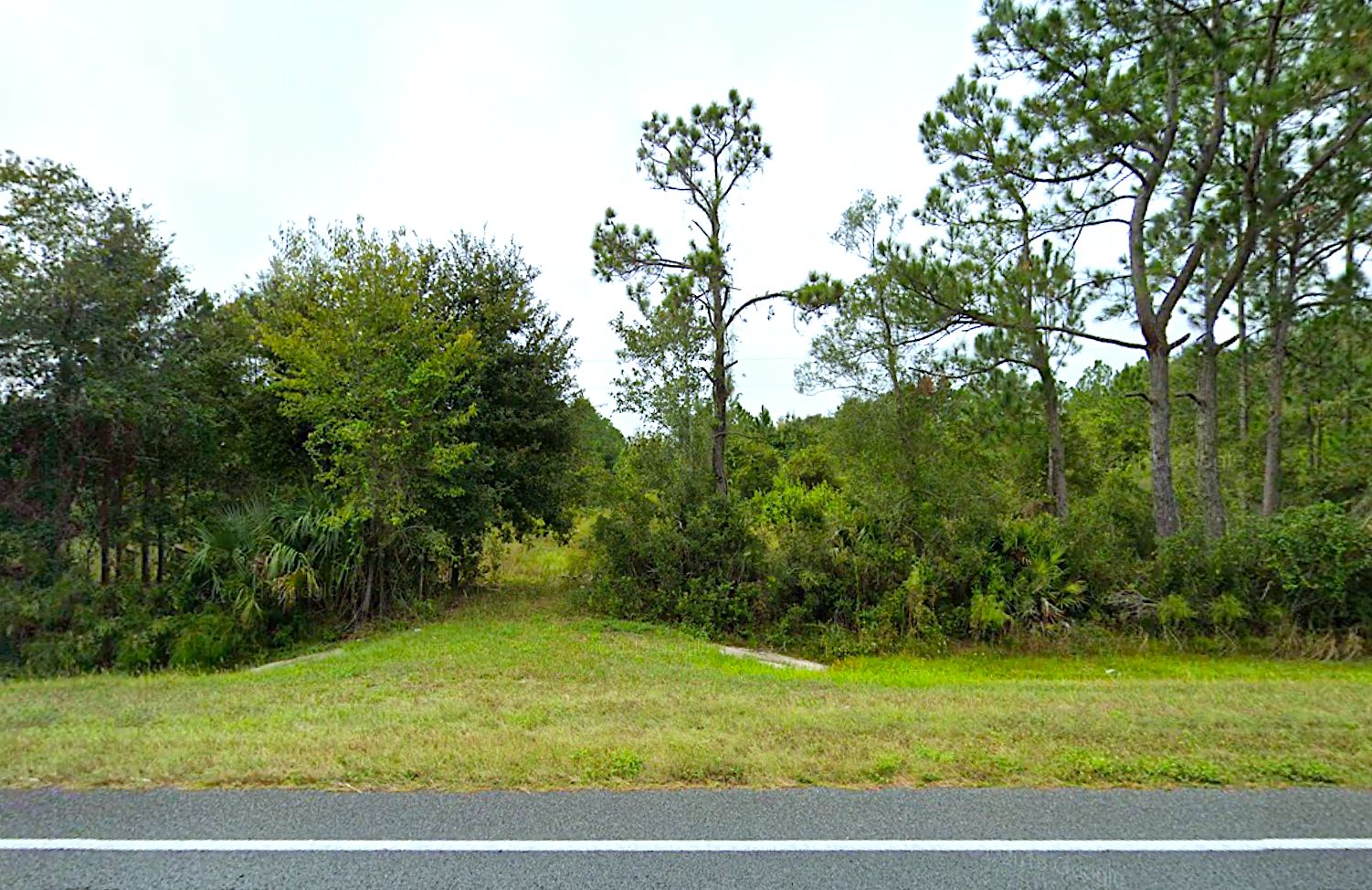 5.43 Acres, Main St, Waldo, FL 32694 Land and Farm