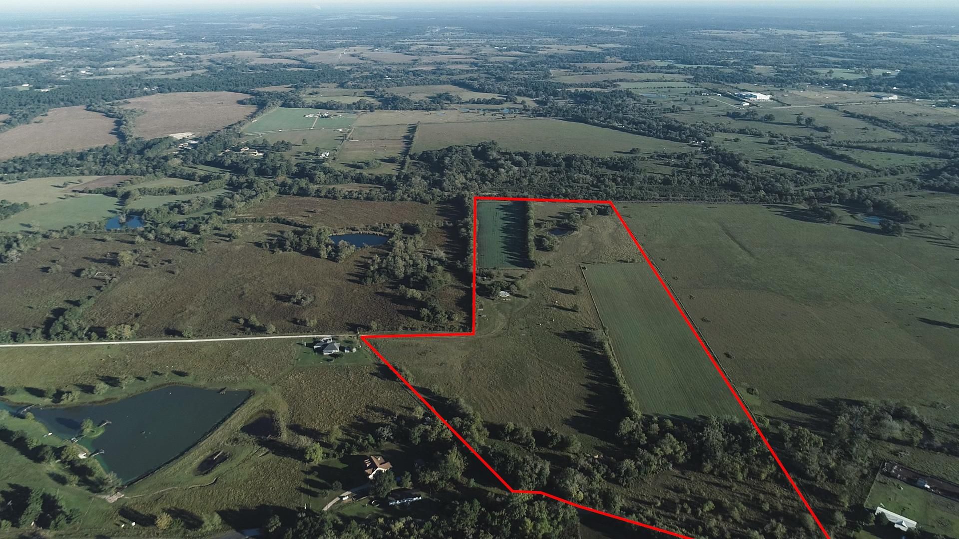 52.97 Acres, 53 Acres Phillips Road, Plantersville, TX 77363 Land and