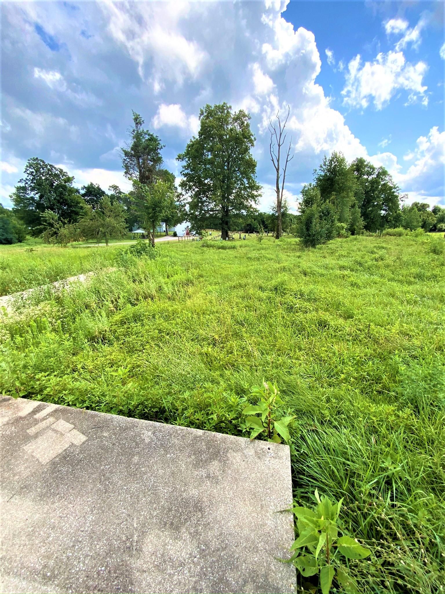 0.5 Acres, 117 MaconKessinger Road, Munfordville, KY 42765 Land and Farm