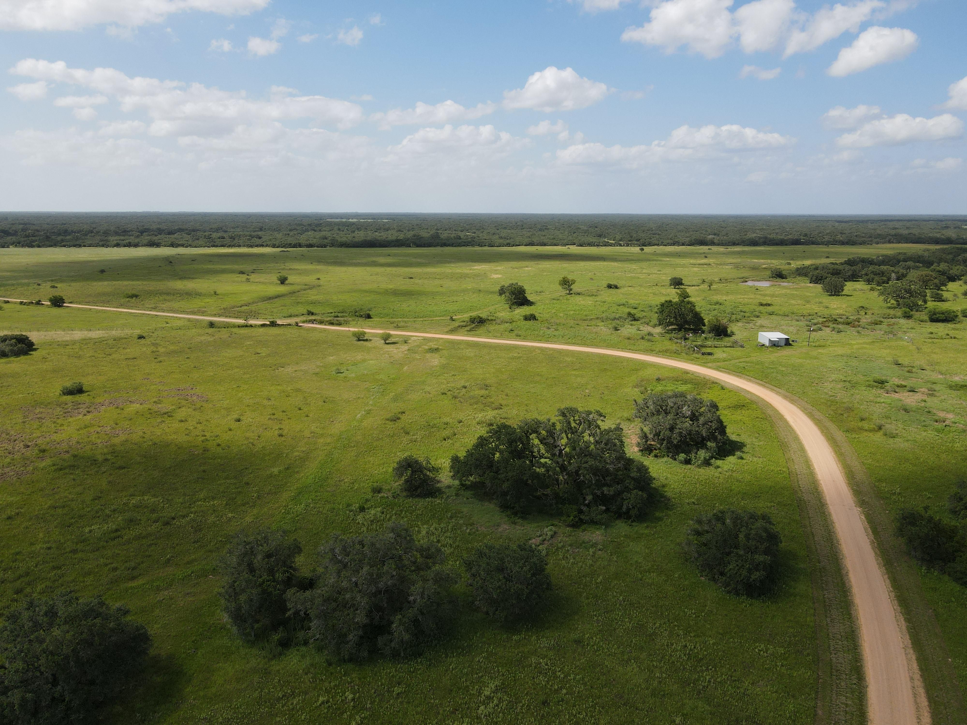 CR 15A, Hallettsville, TX 77964 MLS PRITCHARD 133.00 ACRES
