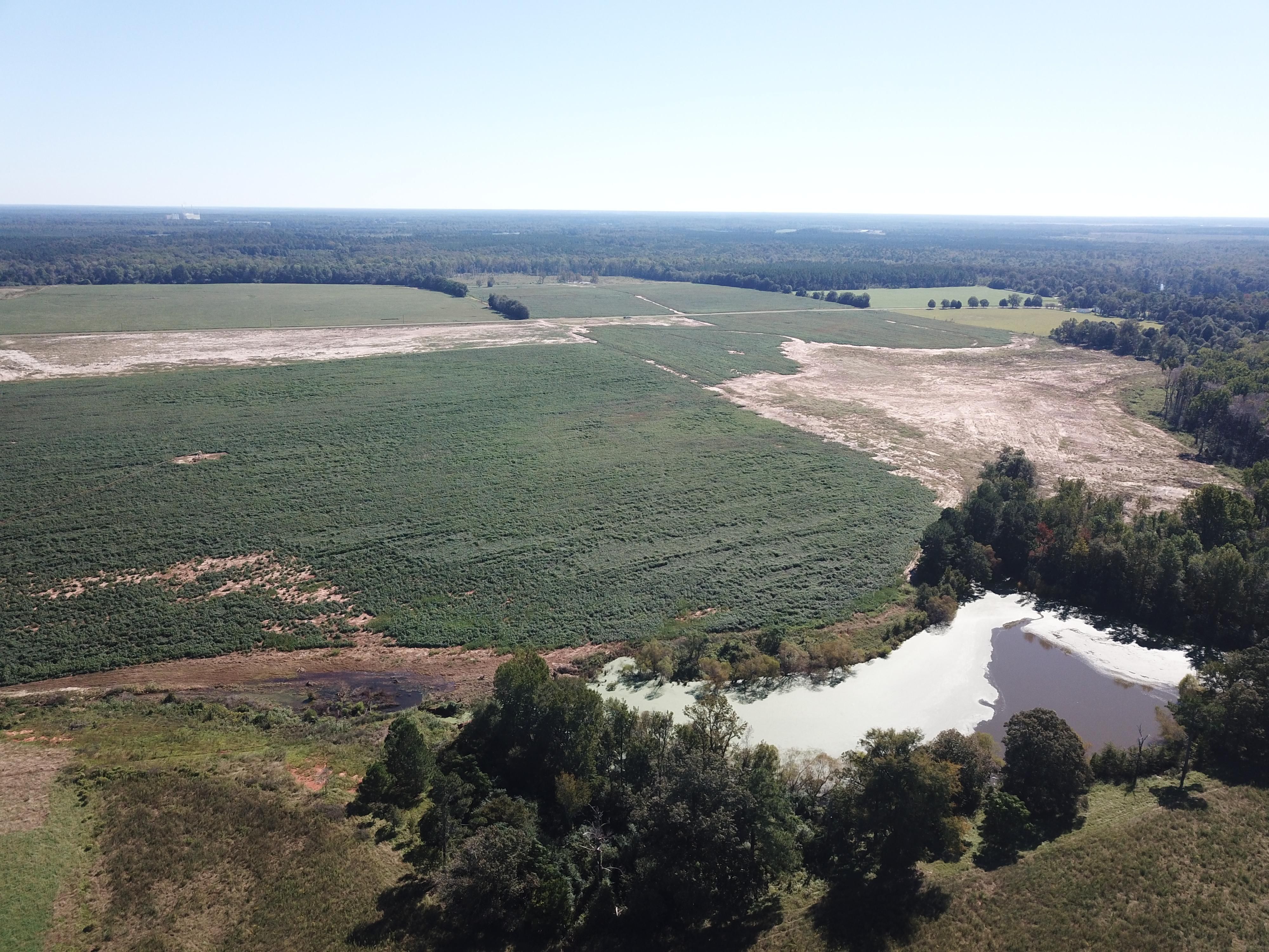 225 Acres, Adams Rd, Stapleton, GA 30823 Land and Farm