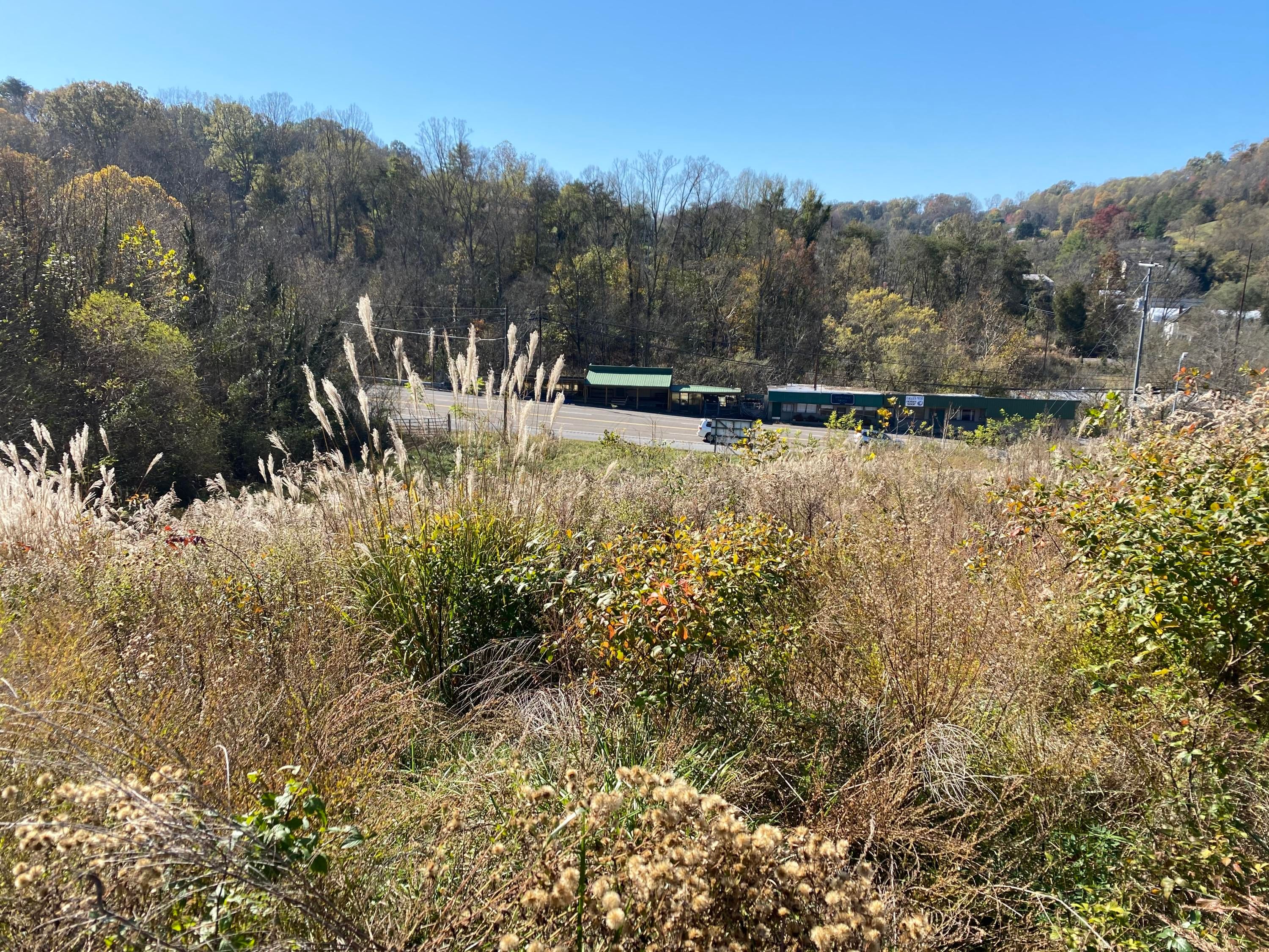 16 Acres, 3825 Fort Henry Drive, Kingsport, TN 37663 Land and Farm