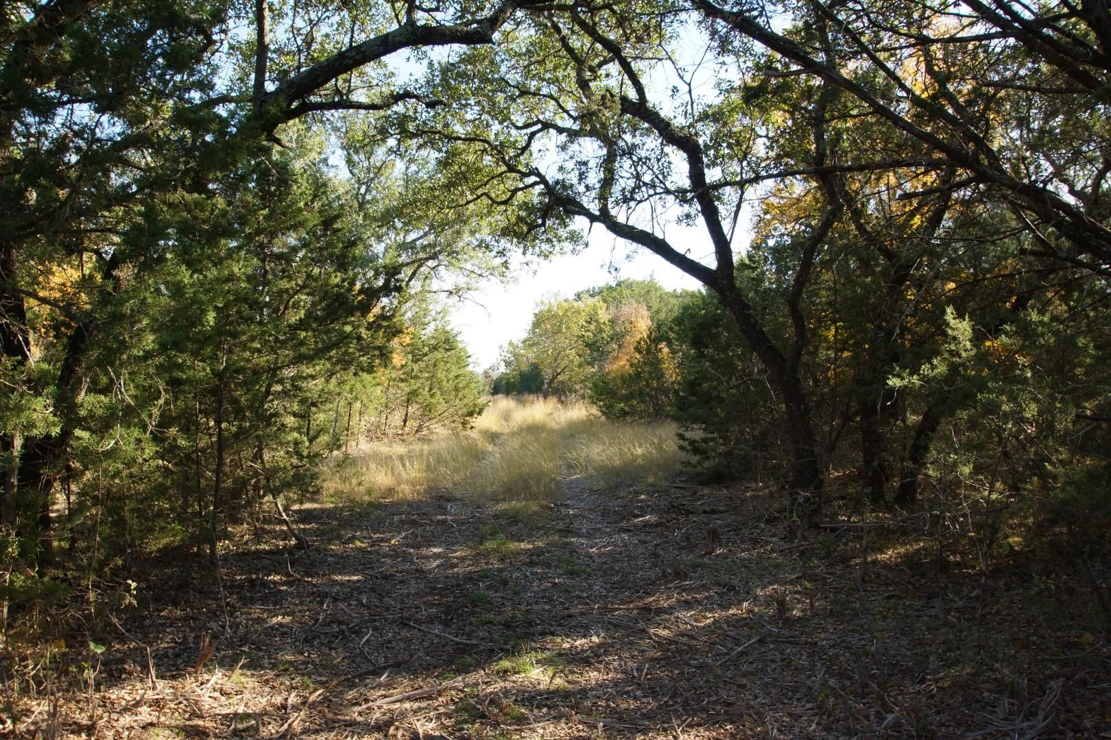 35.09 Acres, Lot 7 Miller Creek Bluff, Briggs, TX 78608 Land and Farm