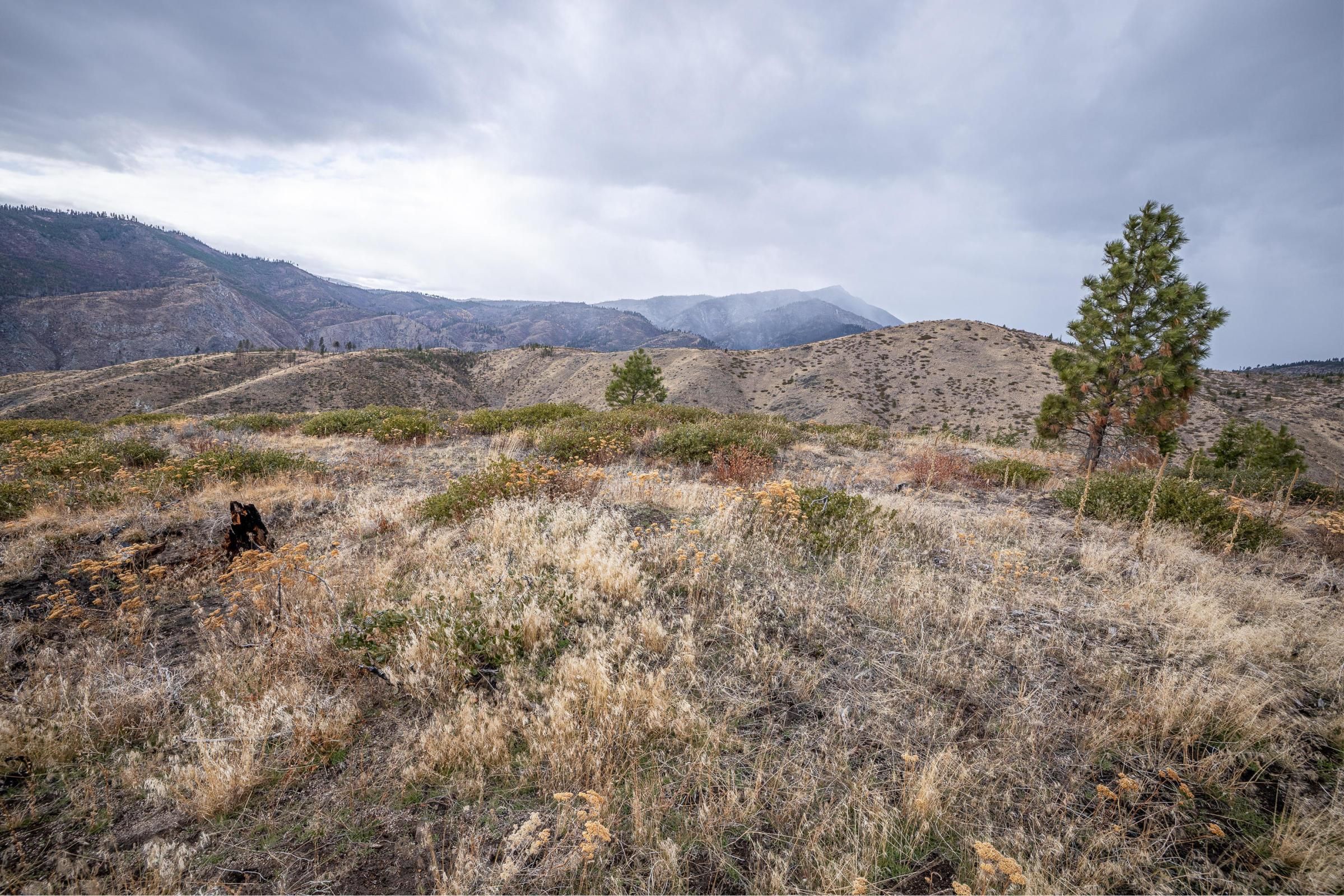 20.02 Acres, Entiat, WA 98822 Land and Farm