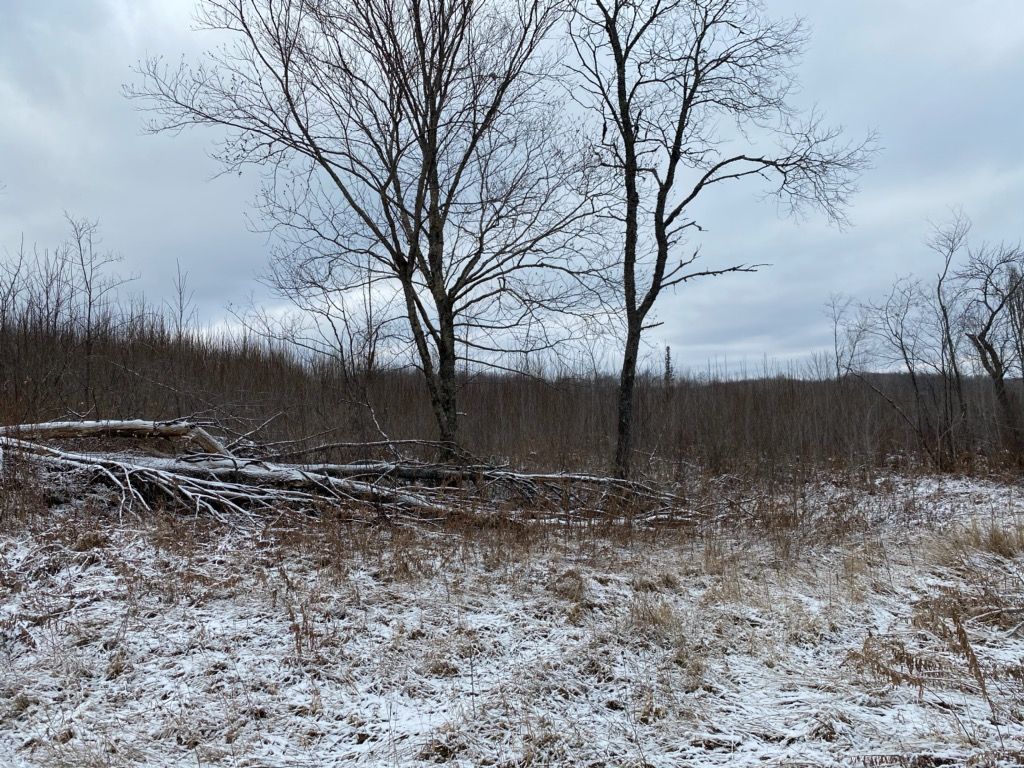 66 Acres, 66 Acres on Hwy 70, Tipler, WI 54542 Land and Farm