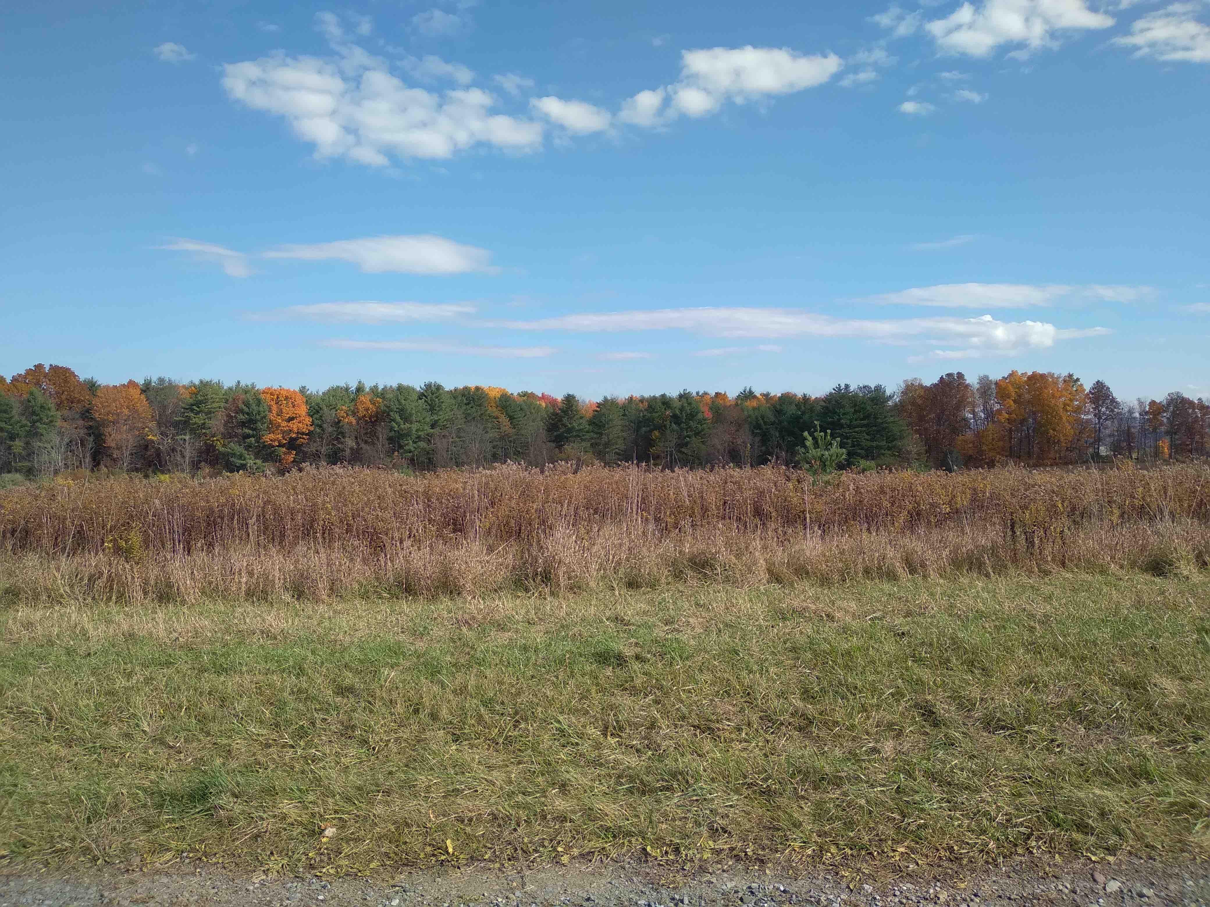 10.24 Acres, Thomas Road, Enfield, NY 14867 Land and Farm