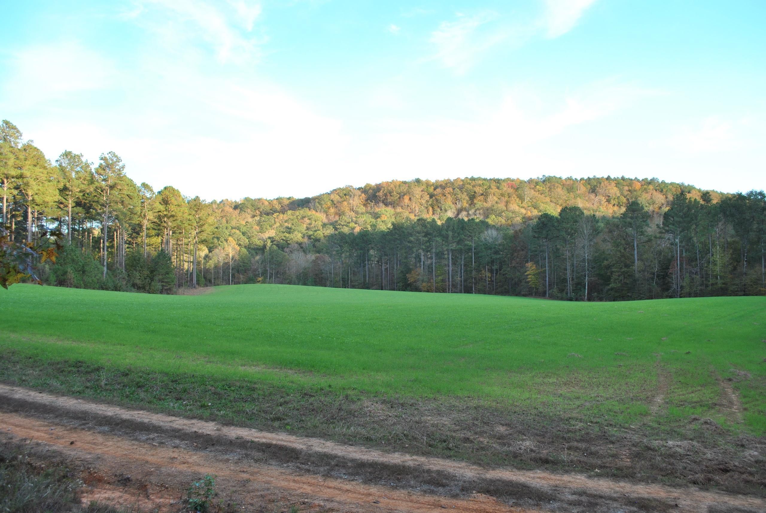 525 Acres, Yellow Creek Fishing Camp Road, LotWP01, Northport, AL