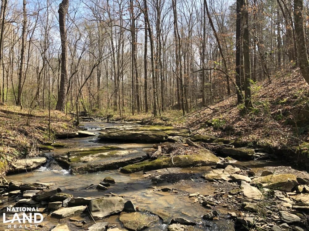 14 Acres, 7678 Old Mount Olive Road, Gardendale, AL 35071 Land and Farm