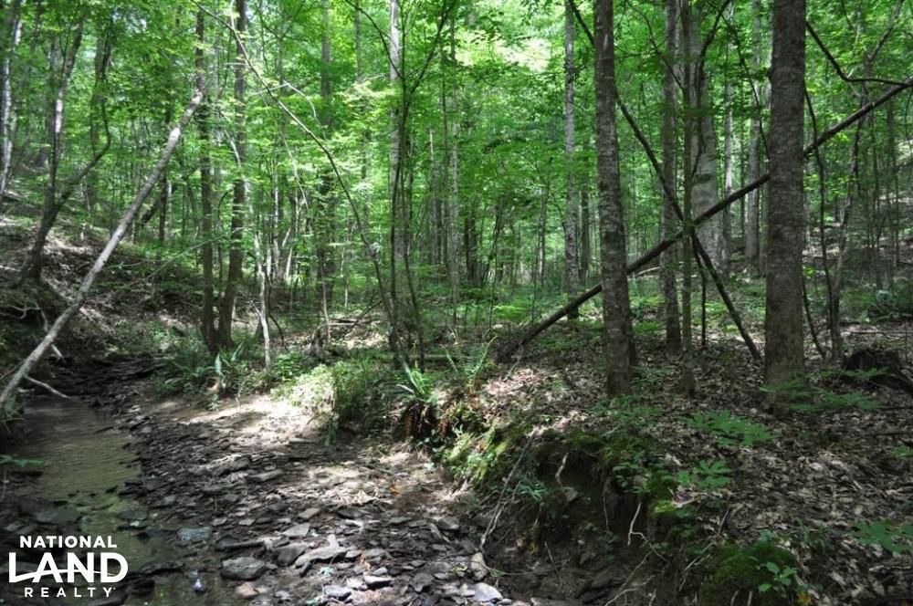 90 Acres, 0 Lock 17 Road, Brookwood, AL 35444 Land and Farm