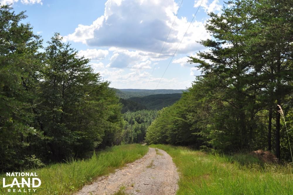 120 Acres, 0 Poplar Springs Road, Brookwood, AL 35444 Land and Farm