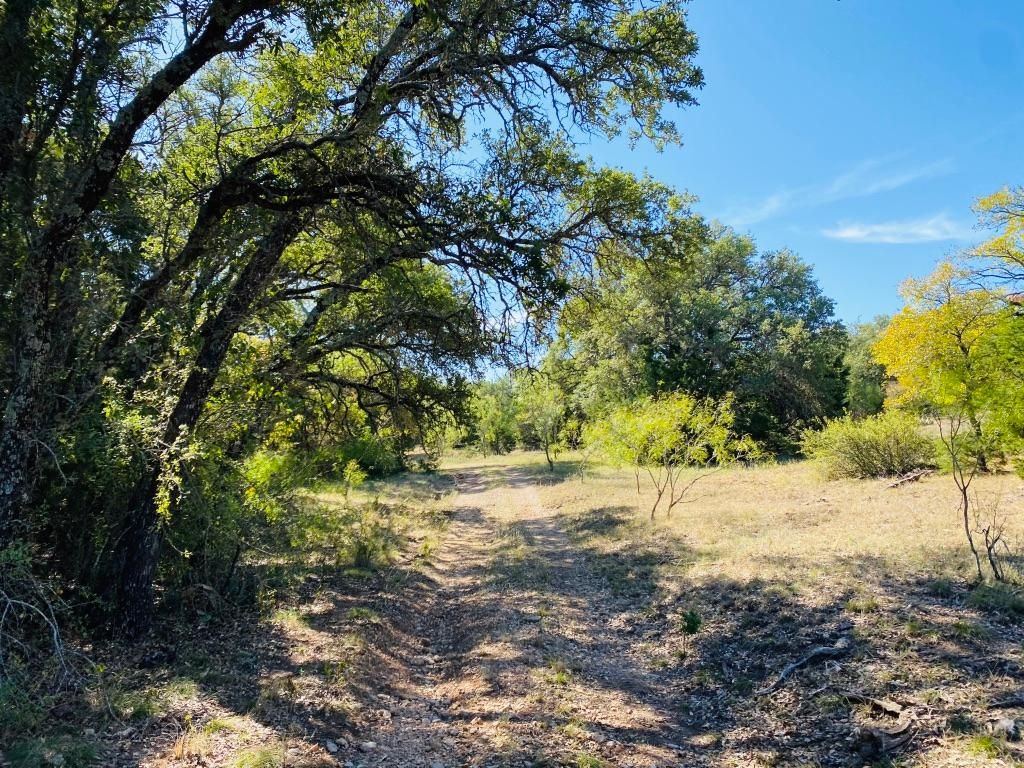 156 Acres, FM 573, Mullin, TX 76864 Land and Farm
