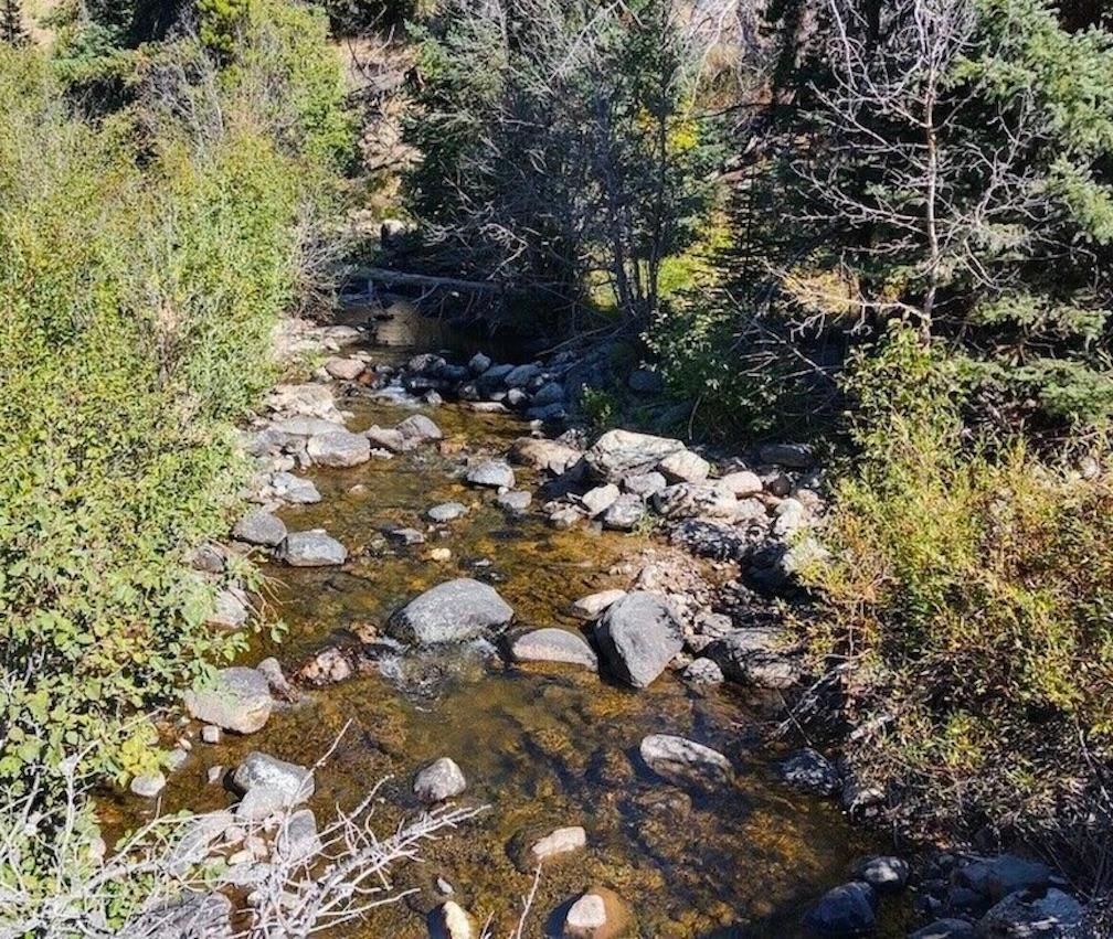 40 acres in Gould, CO, 80480 Land and Farm