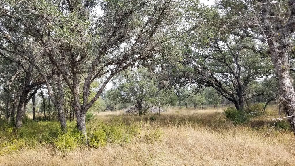 20 Acres, 00 PVT 2014, Tuleta, TX 78162 Land and Farm