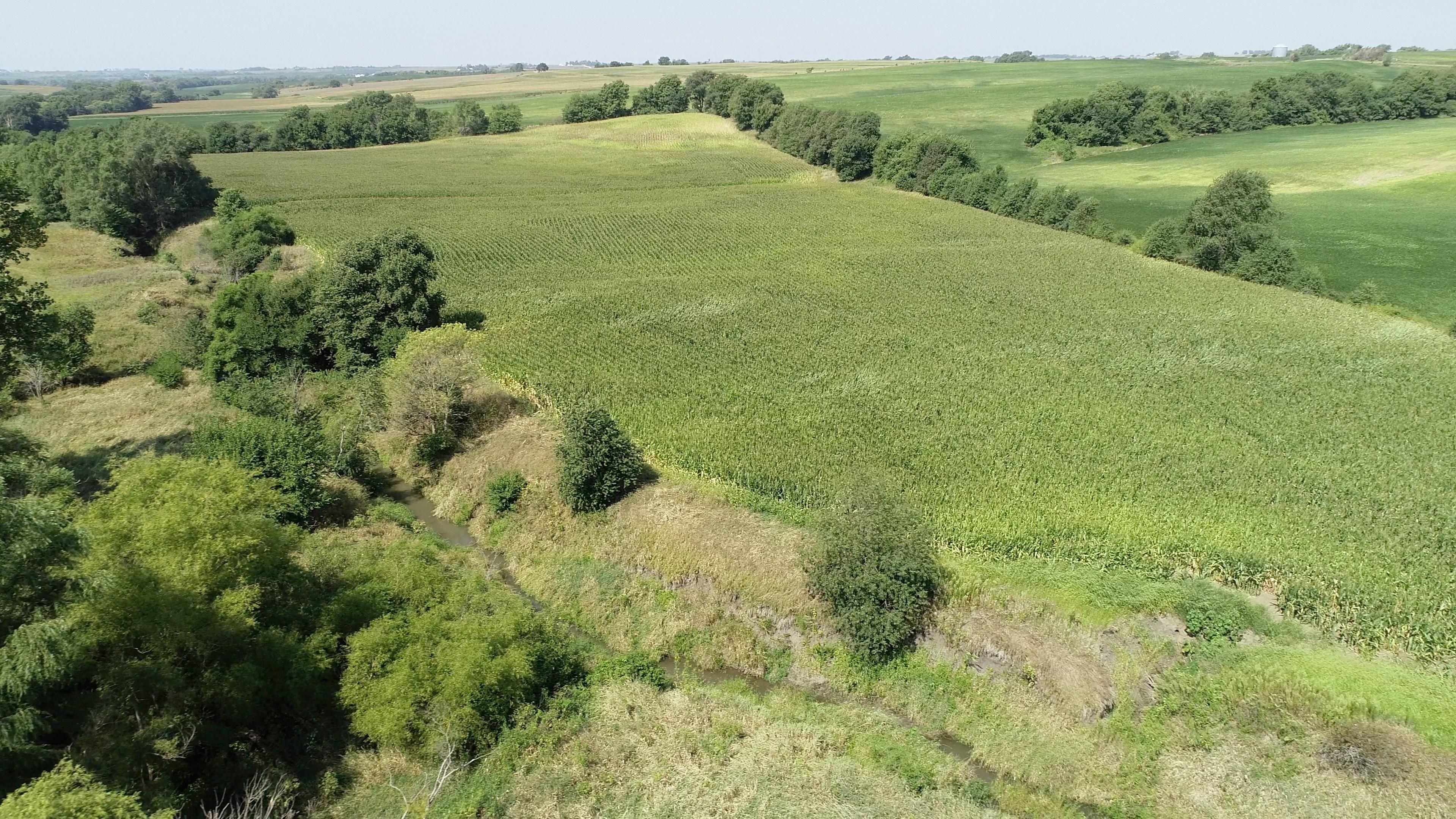 650th St. & Quincy Road, Cumberland, IA 50843 MLS McLaren Farm Land and Farm