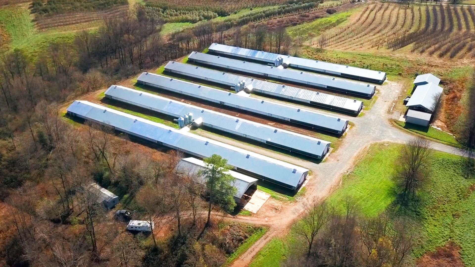 12 Acres, Ellijay, GA 30536 Land and Farm