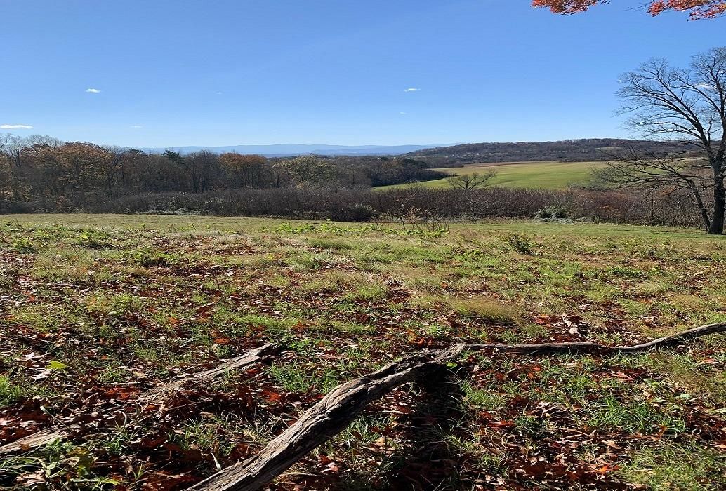 Warrensburg Road, Whitesburg, TN 37891 MLS 4109503875 Land and Farm