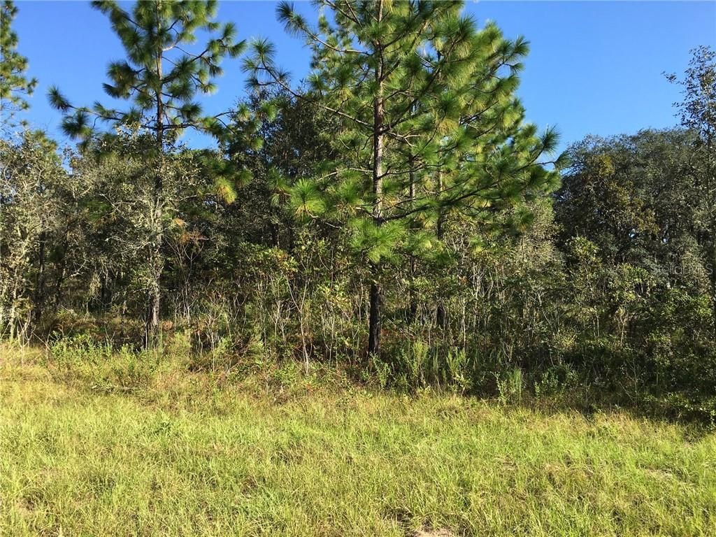 SE 87th Pl, Dunnellon, FL 34431 MLS OM608006 Land and Farm