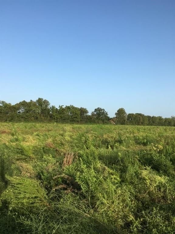 10 Acres, 00 Highway 1196, Effie, LA 71331 Land and Farm