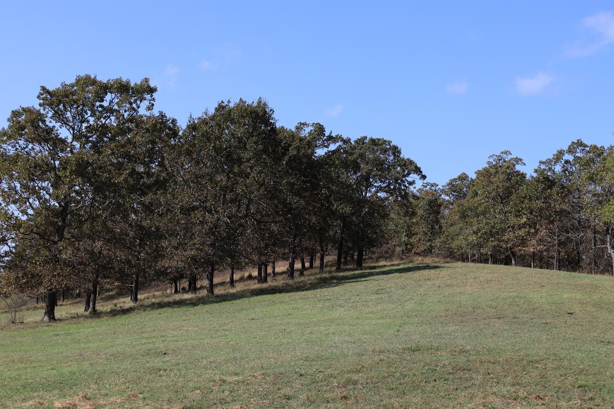 147 Acres, Leflore, OK Land and Farm