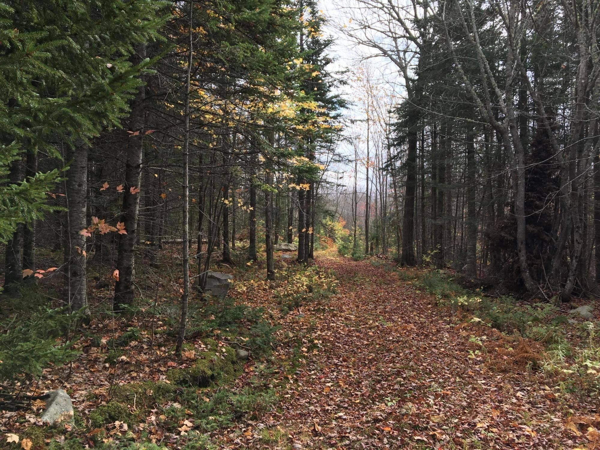 Lot 11 West Pine Way Road, Greenville, ME 04441 Land and Farm