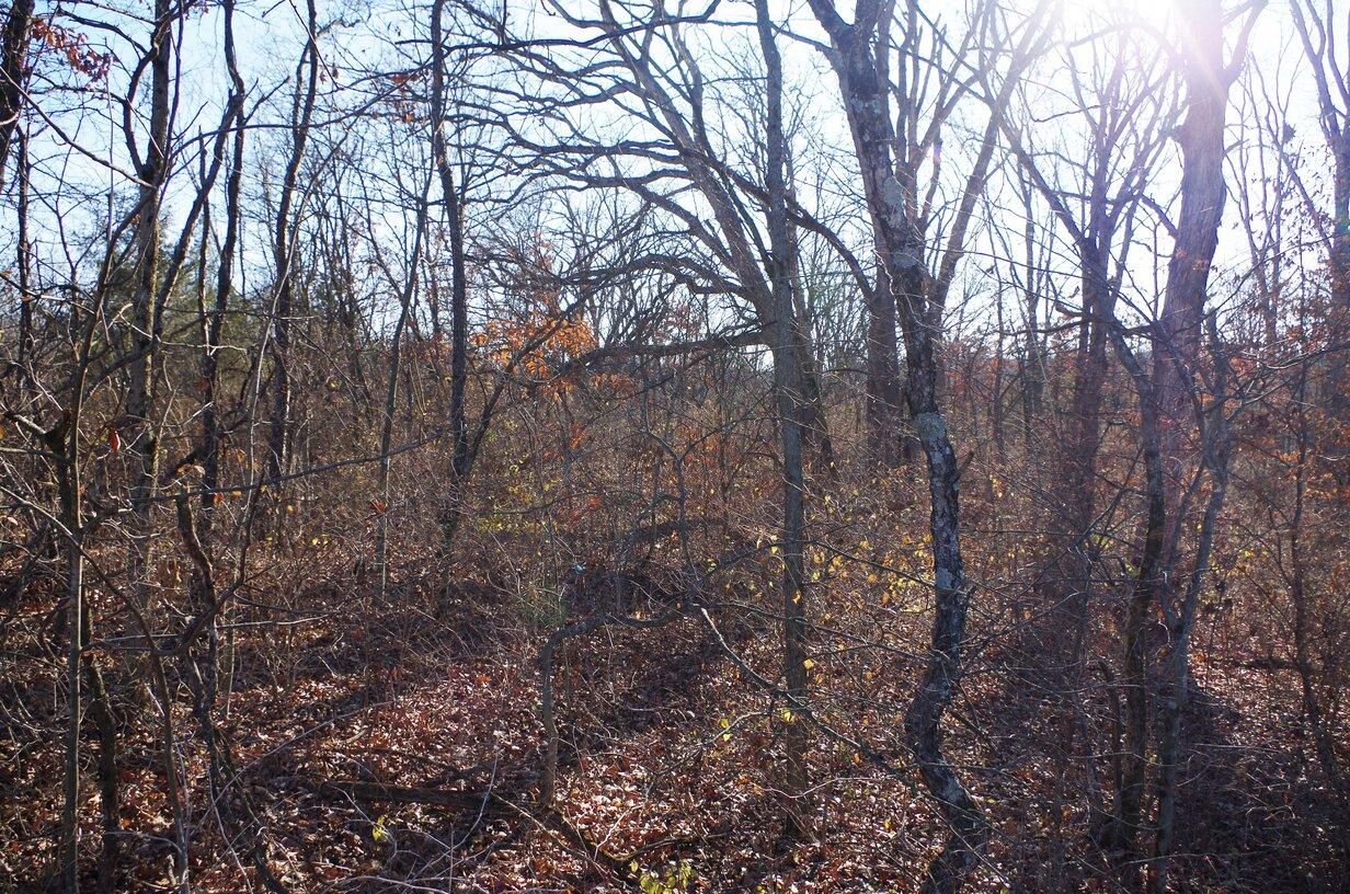 Weeks Hollow Road, Troy, MO 63379 Land and Farm