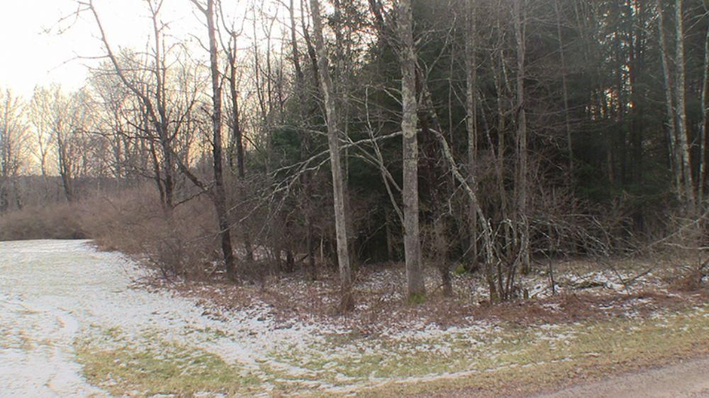 39 acres in Swan Lake, NY, Land and Farm