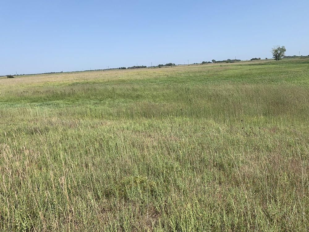 304.77 Acres, Silver Creek, NE Land and Farm