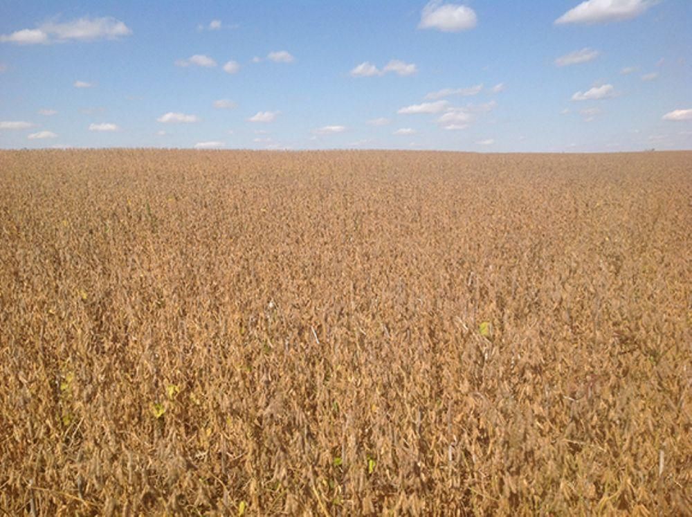 72.32 Acres, Murdock, NE Land and Farm