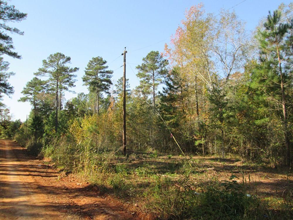 31.58 Acres, Reklaw, TX Land and Farm