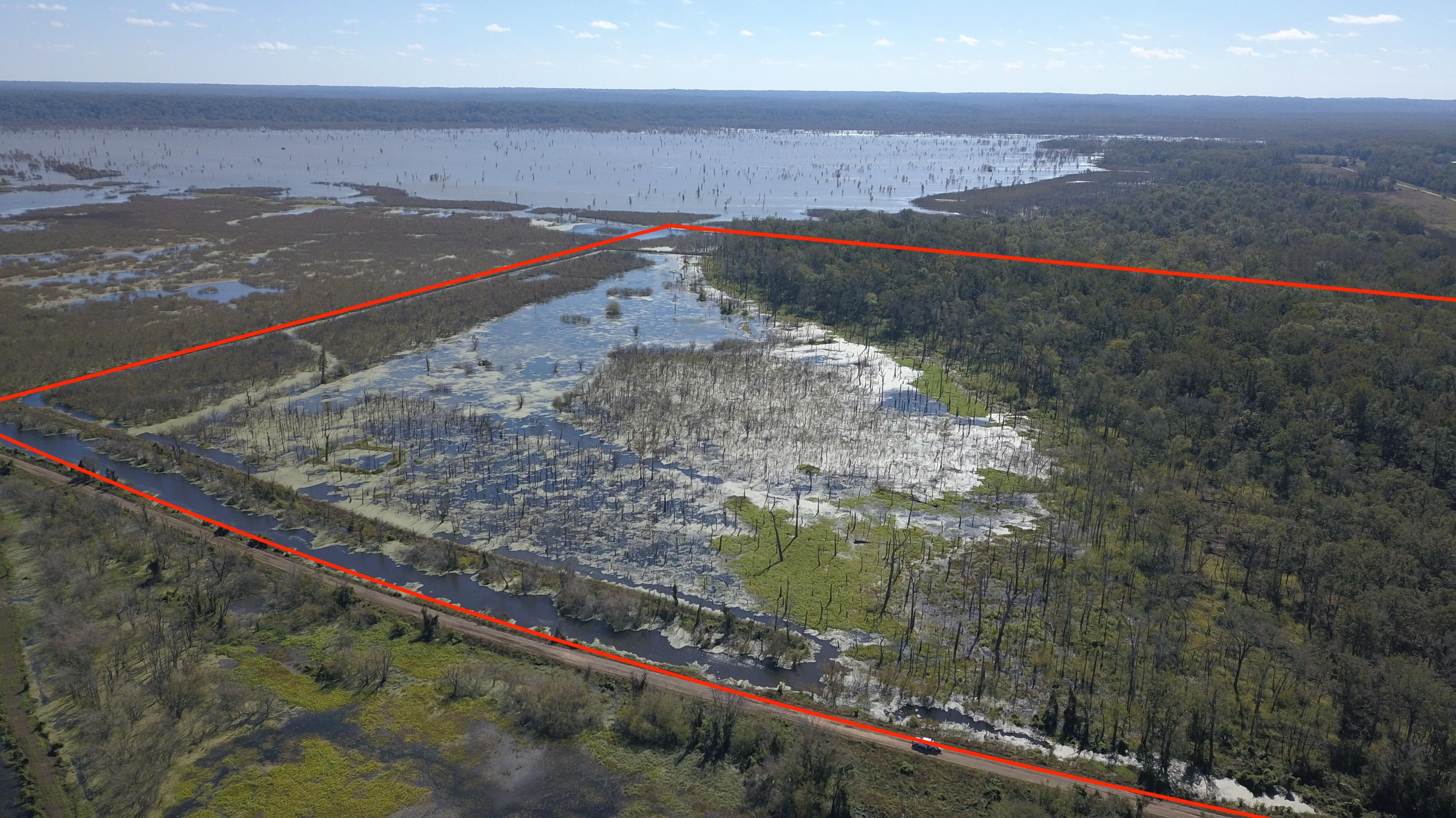 324 Acres, Lake Mary Rd, Woodville, MS 39669 Land and Farm