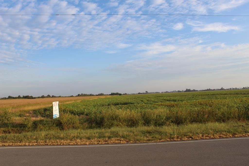 488 East County Road, Steele, MO 63877 MLS 50222 Land and Farm