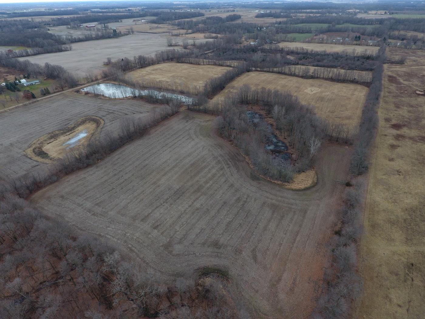 80 Acres, 10900 Day Rd, Pittsford, MI 49271 Land and Farm