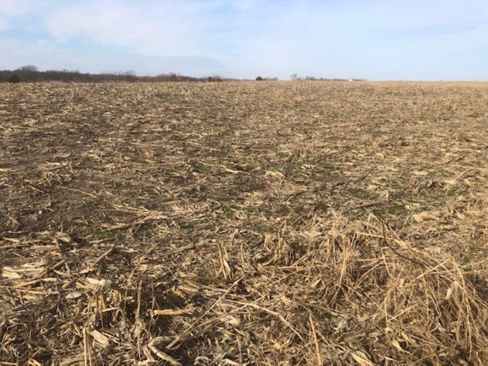 916 Acres, Maysville, MO Land and Farm