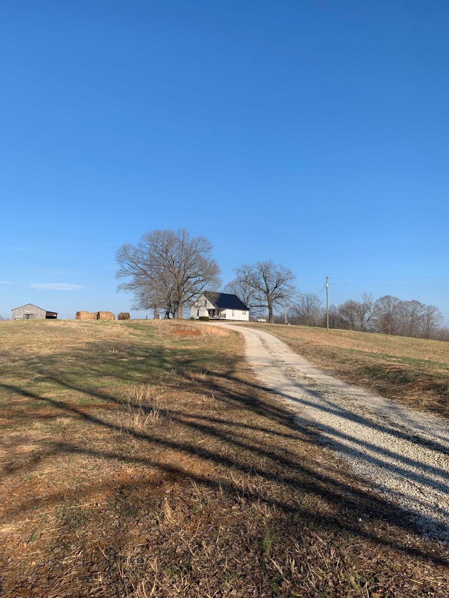 81 Acres, 12064 Hardyville Rd., Canmer, KY 42722 Land and Farm