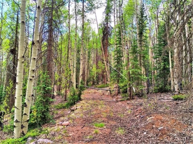 CO Rd 504, Creede, CO 81130 Land and Farm