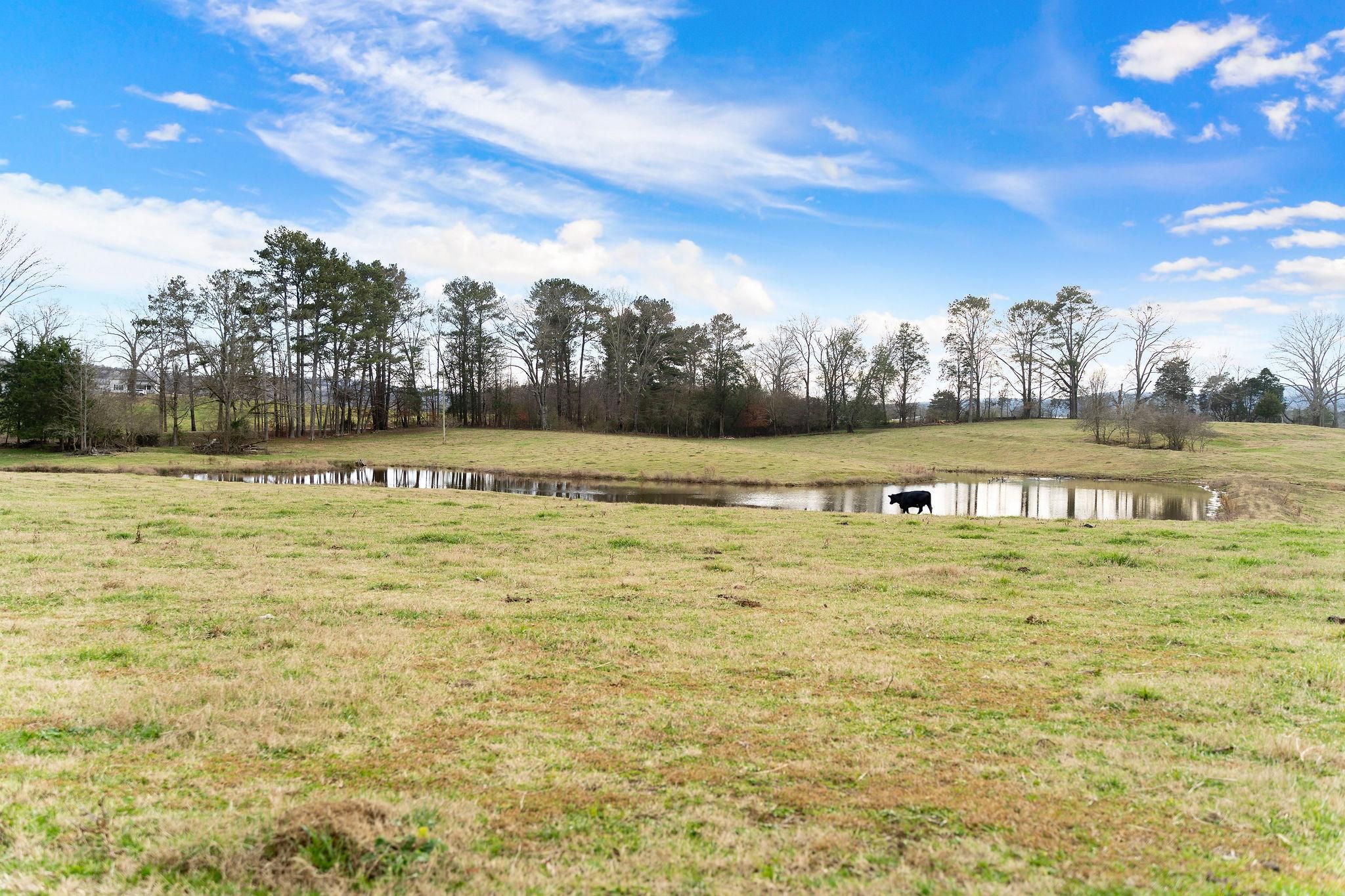 154.8 Acres, 5800 West Armuchee Road, Summerville, GA 30747 Land and Farm