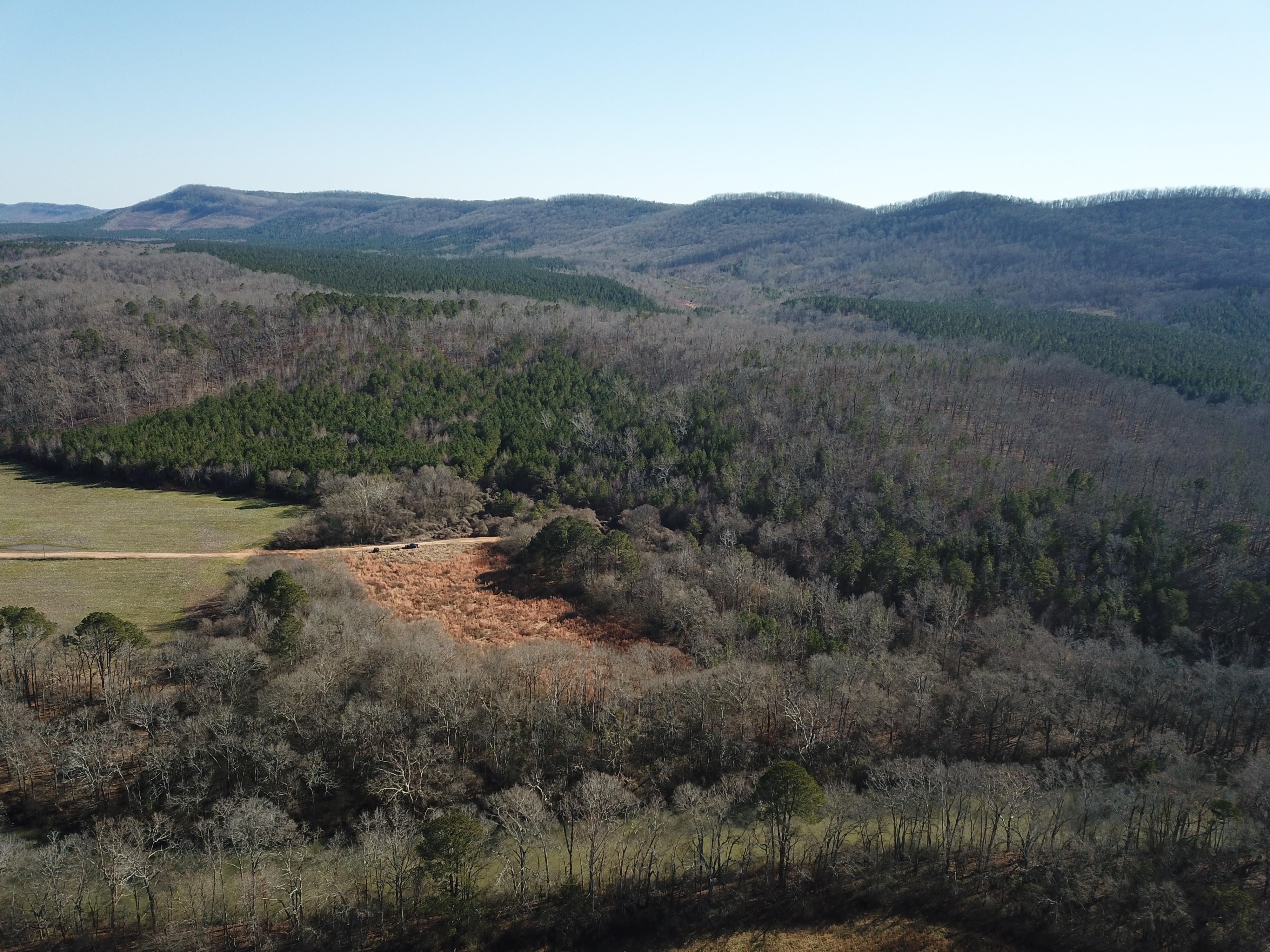 565 Acres, Fullerton Road, Lyerly, GA 30730 Land and Farm