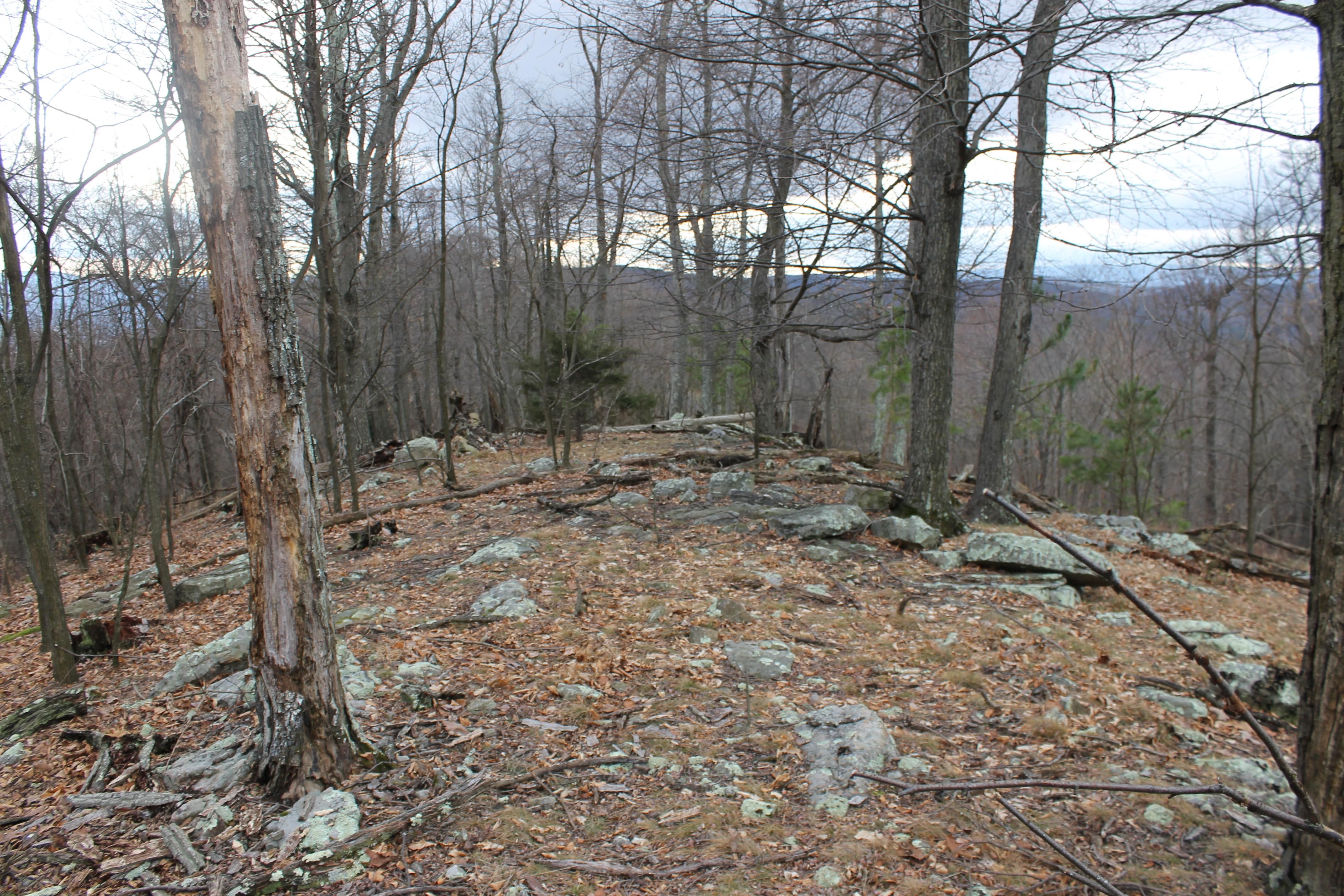 Peaks View Drive, Yellow Spring, WV 26865 MLS WVHS115148 Land and Farm