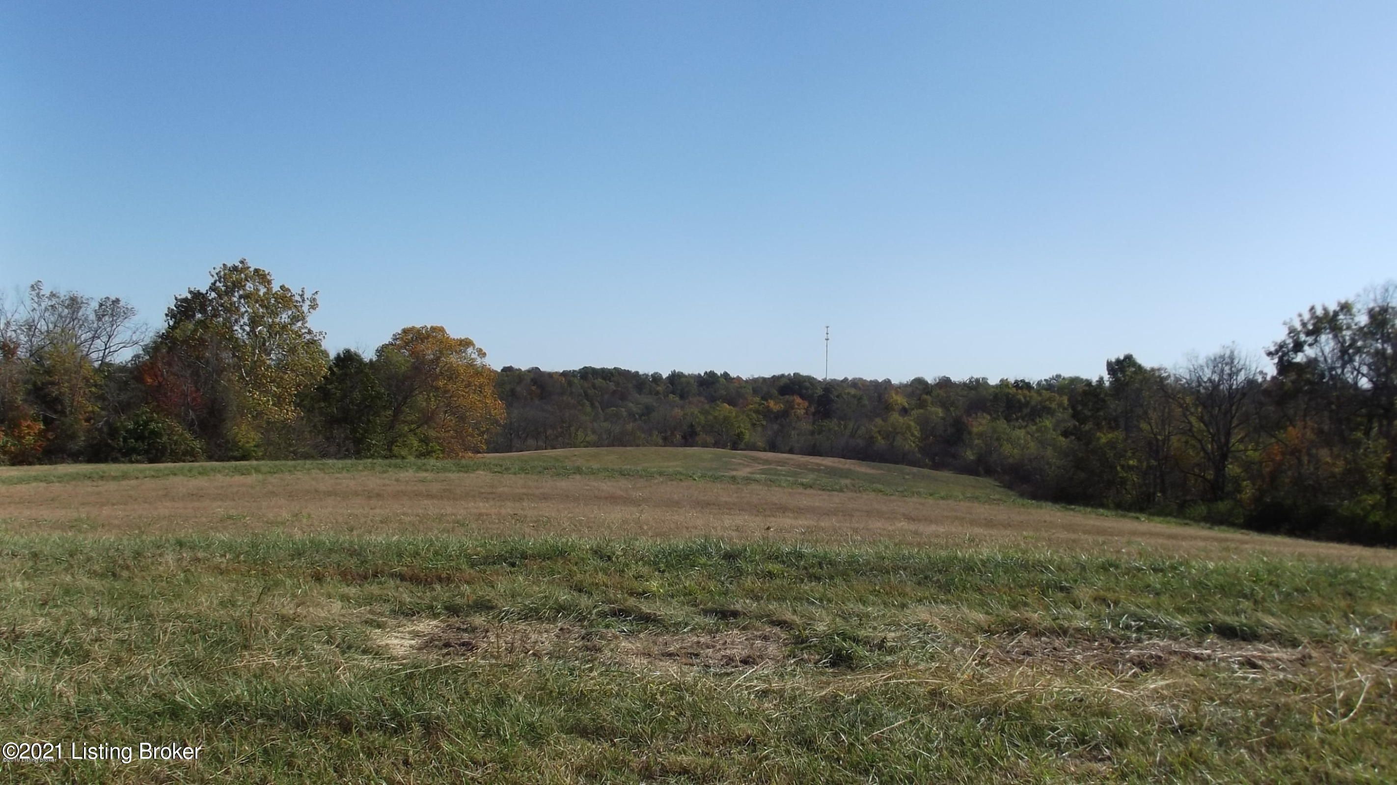 128.15 Acres, 0 Hwy 55 (Eastside), Campbellsburg, KY 40011 Land and Farm