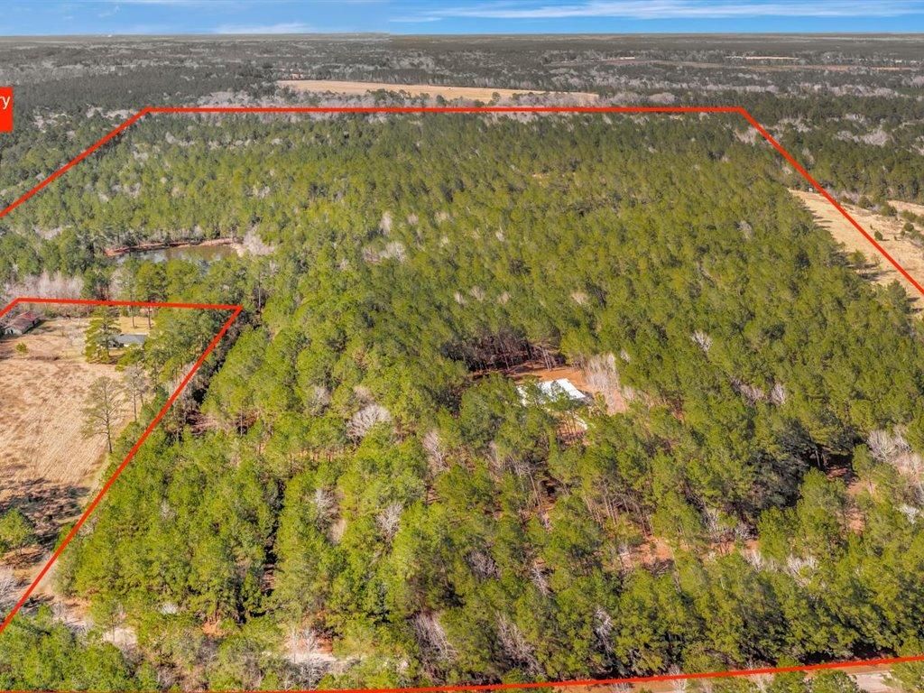 126.7 Acres, 709 Barnum Blvd, Corrigan, TX 75939 Land and Farm