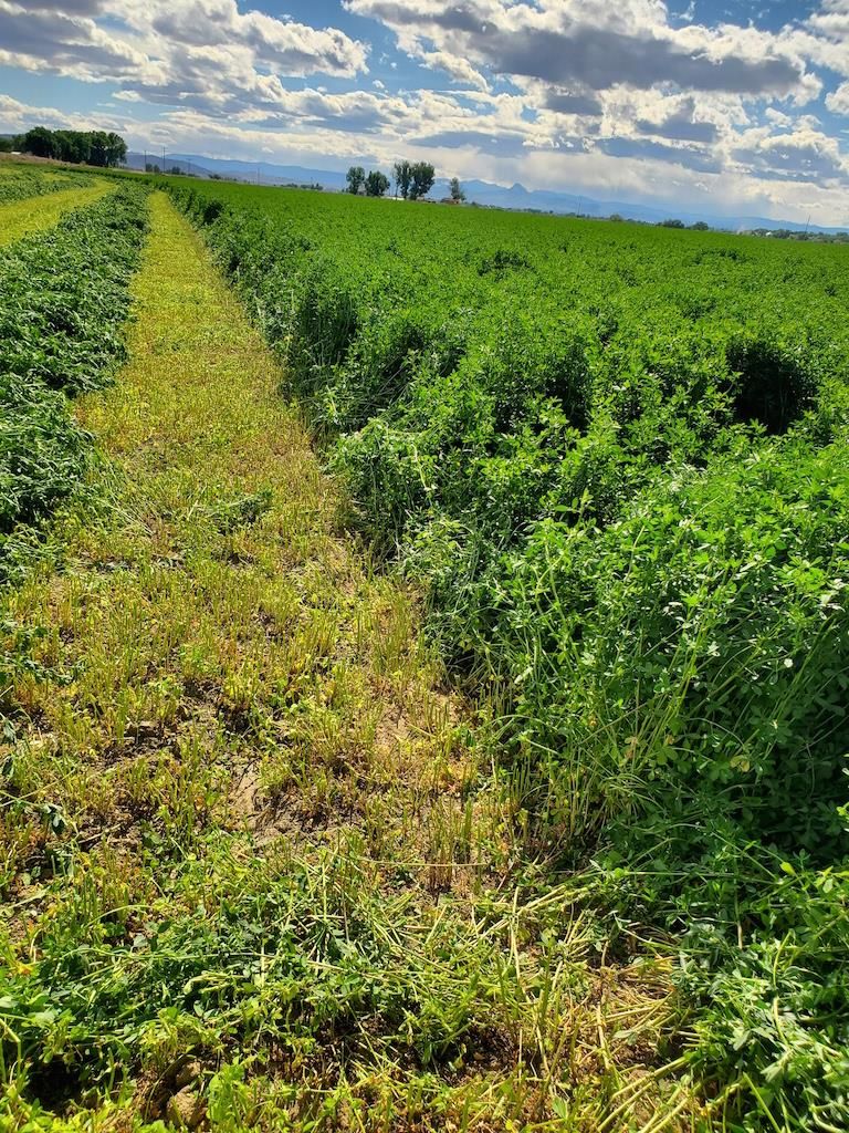 106 Acres, 1221 Road 6, Powell, WY 82435 Land and Farm